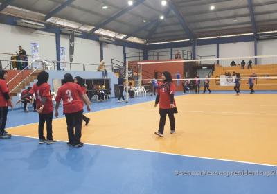 Sesma007